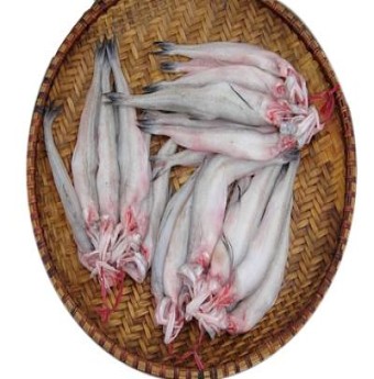 Chỉ có thể là "Canh Cá Khoai"