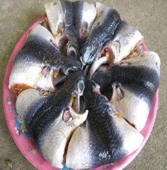 Khó cưỡng với món "Mít non nấu cá chuồn''
