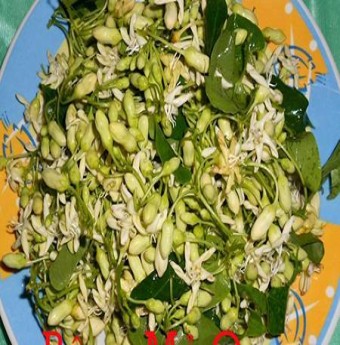 Món ngon miền Tây - dây mỏ quạ