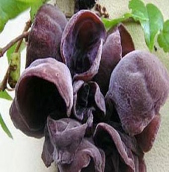 Làn da trơn mịn nhờ thực phẩm