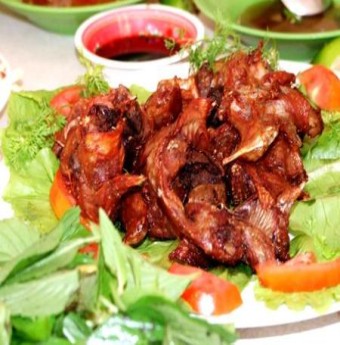 Chuột đồng với món ngon hấp dẫn