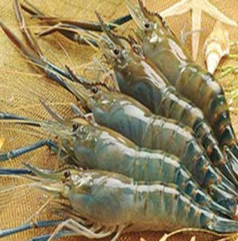 Đặc sắc ẩm thực Tây Nam Bộ