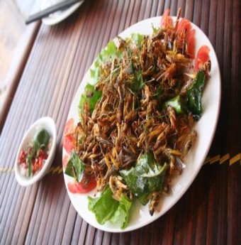Châu chấu chiên - Món ăn "độc nhất vô nhị" xứ hoa Chăm Pa