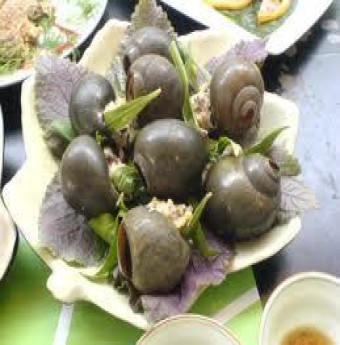Ốc và những đặc sản từ Bắc vô Nam
