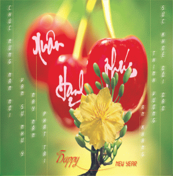 Tránh khó tiêu ngày Tết
