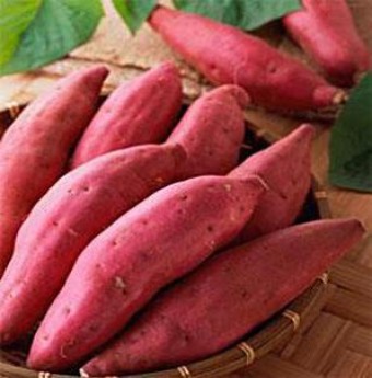 Những thực phẩm tốt hơn cả thịt