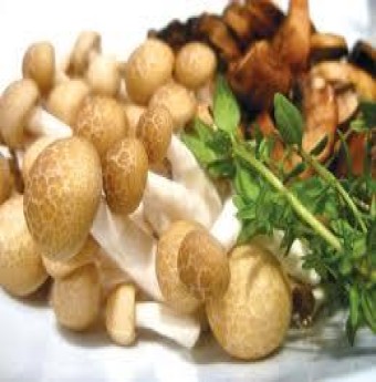 Những điều chưa biết về nấm ăn