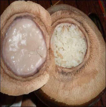 Cơm hấp nước dừa món ngon đãi khách