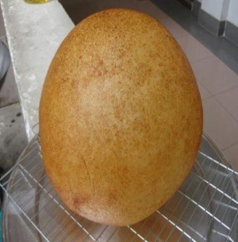 Món ngon miền Nam: Xôi chiên phồng