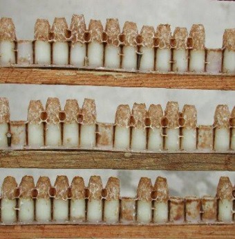 Cách chọn và sử dụng Sữa ong chúa