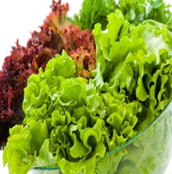 Vitamin K đối với sức khỏe của trẻ em