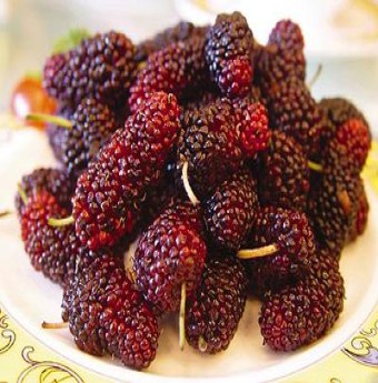 Sảng khoái ngày hè với nước Dâu ta