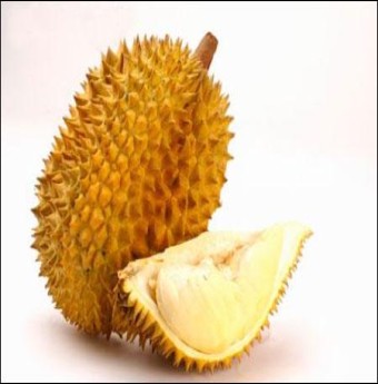 Ngọt ngào nỗi nhớ sầu riêng
