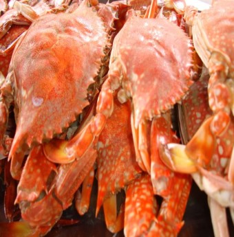 Cua ghẹ chết bán đắt như tôm tươi nhờ chất hóa học
