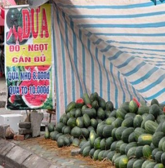 Hoa quả Việt "oan ức" vì bị nhầm là hàng Trung Quốc