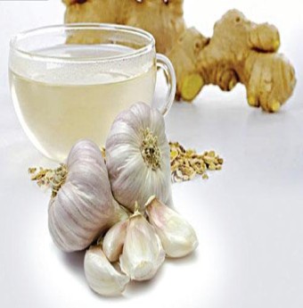 Những bài thuốc từ tỏi và gừng hiệu quả 