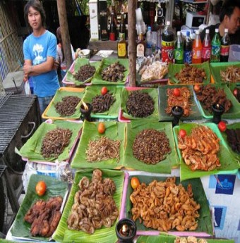 Liên Hiệp Quốc kêu gọi ăn côn trùng