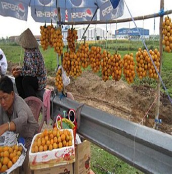 Món ngon miền Tây: Thanh trà