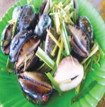 Hương vị miền Trung: Ốc bướm