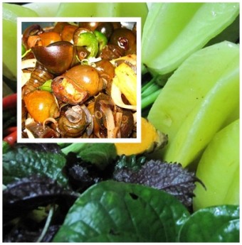 Hao cơm trưa với khế chua nấu với ốc nhồi