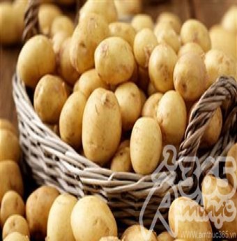 Công dụng của Khoai Tây