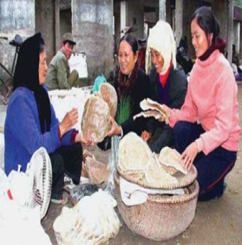 Bánh tráng gạo chiêm dâu