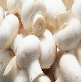 Trẻ sơ sinh có nên dùng nấm