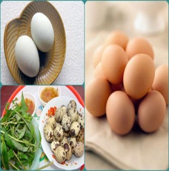 Trứng gà, trứng vịt, trứng cút - trứng nào tốt hơn?
