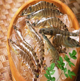 Những vi khuẩn gây bệnh chứa trong thực phẩm