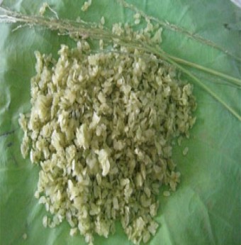 Dân dã mà khó quên hương cốm vào thu