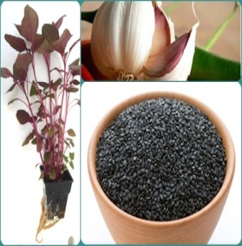 Dưỡng da, chống tia cực tím bằng thực phẩm tốt cho sức khỏe