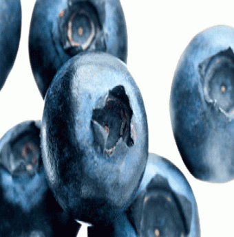Những thực phẩm phòng bệnh trĩ