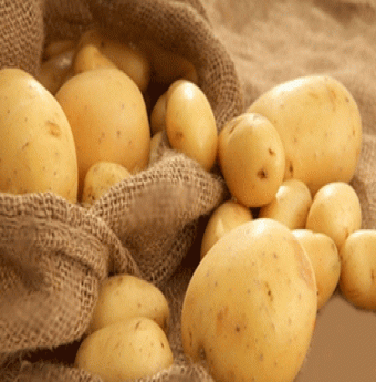 Những thực phẩm tốt cho dạ dày