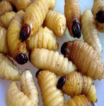 Đặc sản đệ nhất Nam bộ: Đuông dừa
