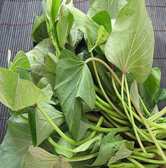 Những thực phẩm giải độc cho cơ thể mùa thu