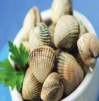 Ăn sò huyết cho kỳ trăng mật hoàn hảo