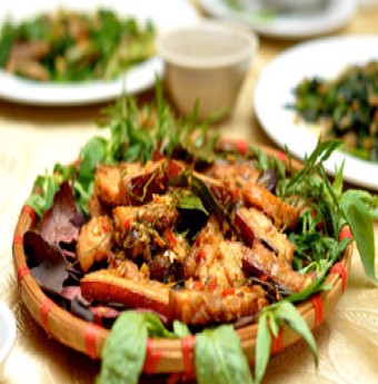 Khám phá lợn rừng ống tre độc đáo