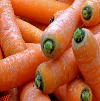 Liệu ăn cà rốt có giúp xương chắc khỏe?