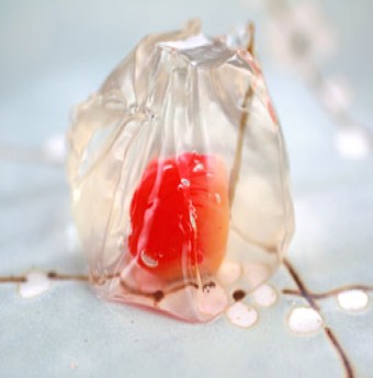 Kiệt tác bánh Wagashi 
