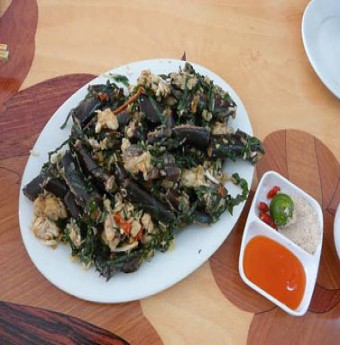 Nhớ sam thì về Hạ Long