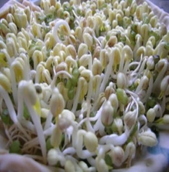 Hoang mang giá làm bằng hóa chất Trung Quốc