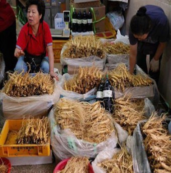 Khám phá chợ nhân sâm Hàn Quốc