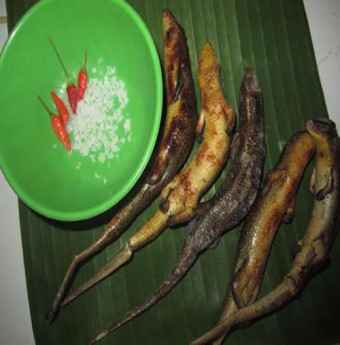Về Tây Nam Bộ thưởng thức rắn mối