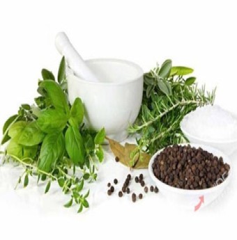 Khám phá sự tinh tế và đa dạng trong gia vị Việt