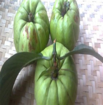 Nhớ vị tai chua