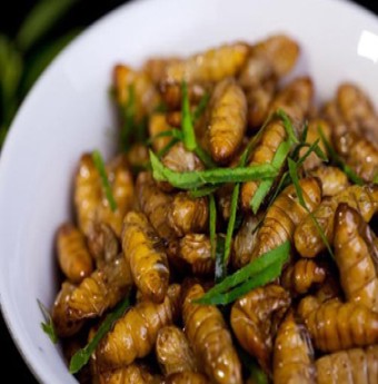 Bùi béo nhộng tằm xào lá lốt
