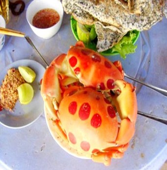 Thưởng thức cua mặt trăng trên đảo Phú Quý