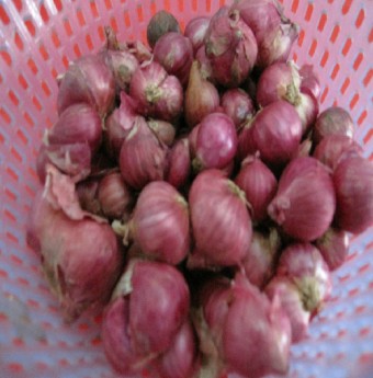 Làm dưa hành tím đón Tết