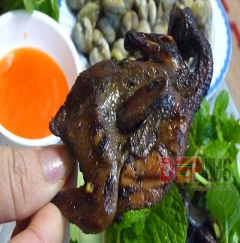 Khám phá chim cút rang muối phố Hàng Bông