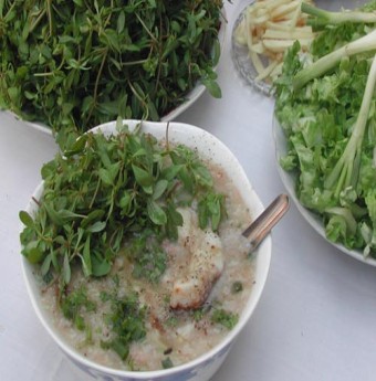 Rau đắng ngọt lịm tình miền quê sông nước Cửu Long 
